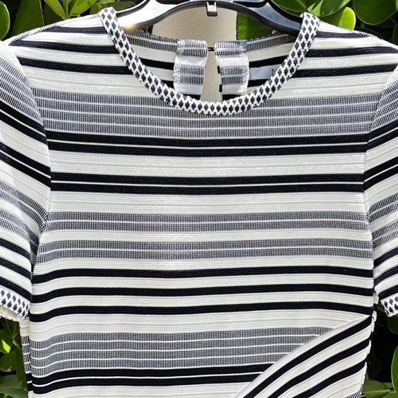 Badgley Mischka Navy Sheath Striped Dress Size 2 - Picture 4 of 13